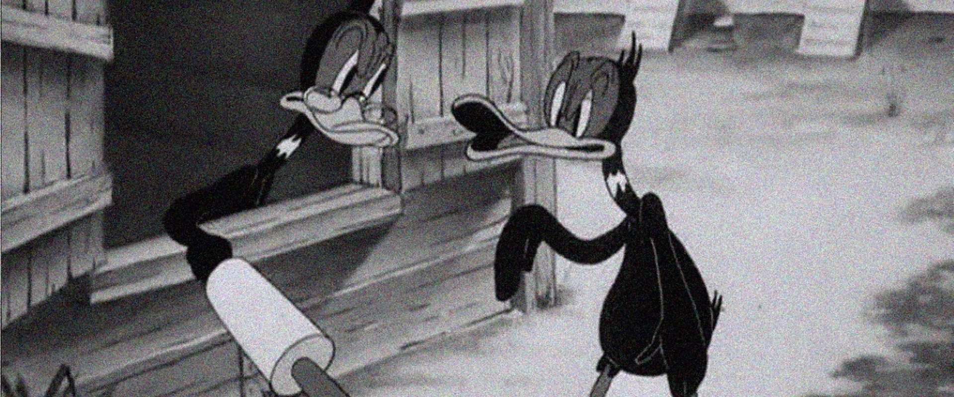 Wise Quacks