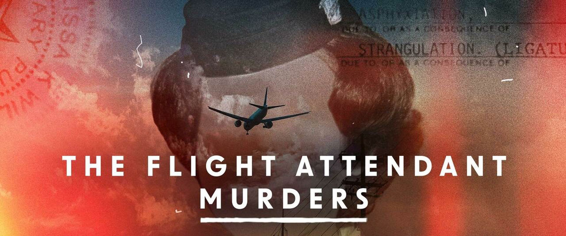 The Flight Attendant Murders
