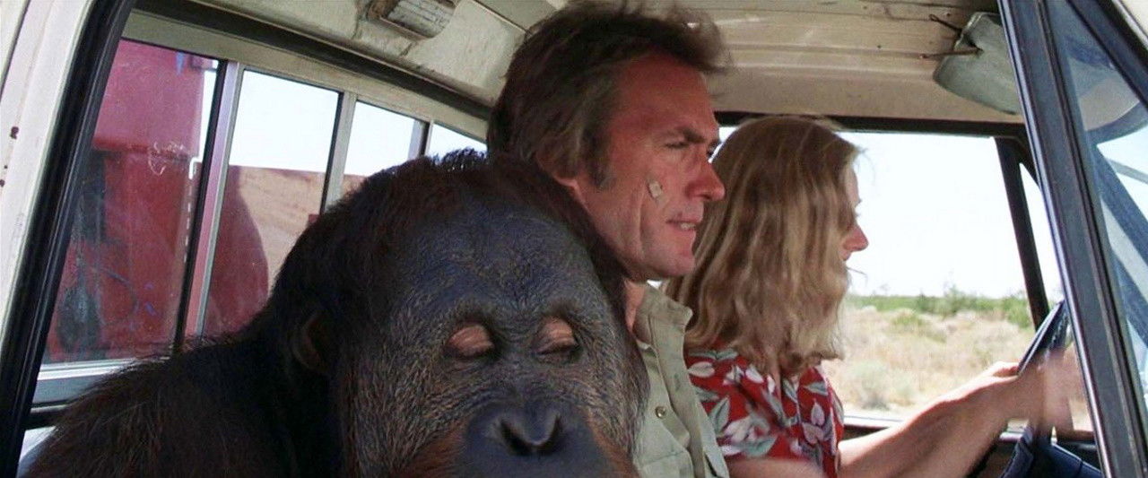 Any Which Way You Can