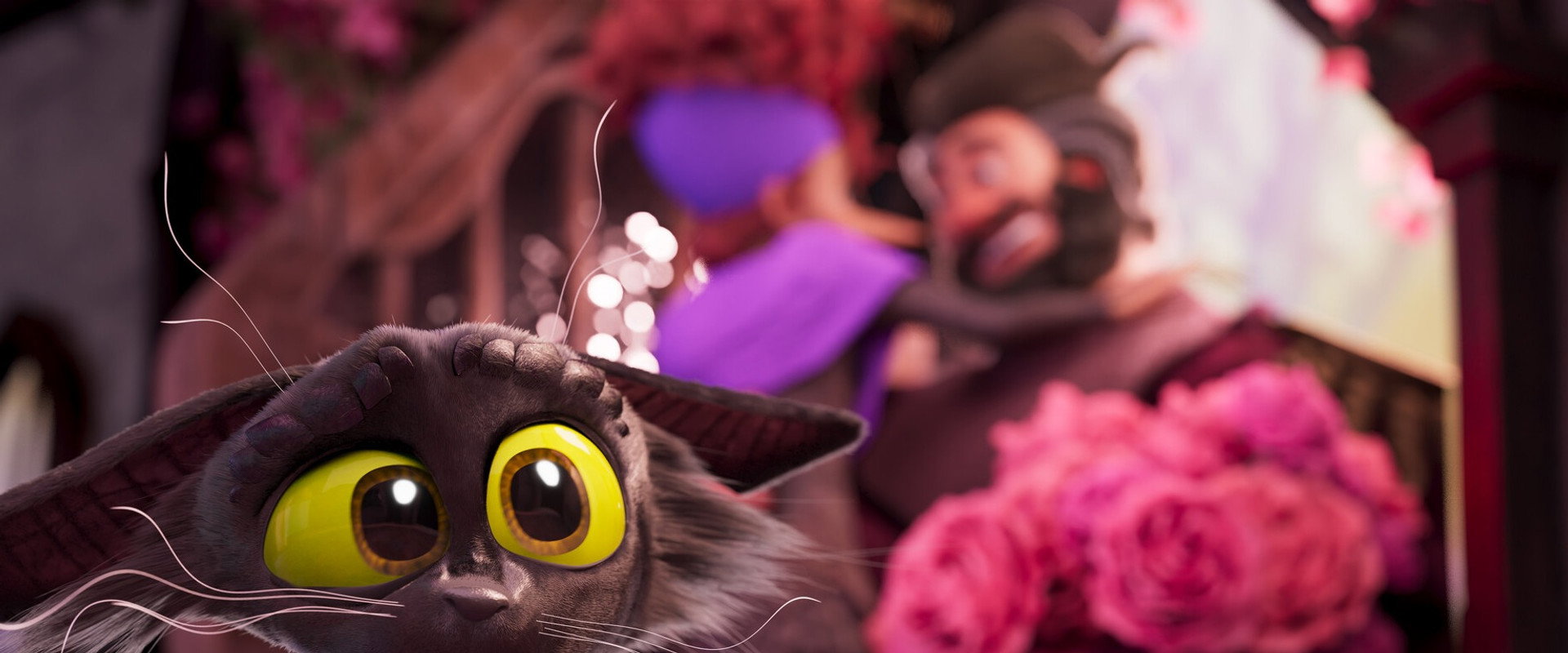 The Witch's Cat's banner image