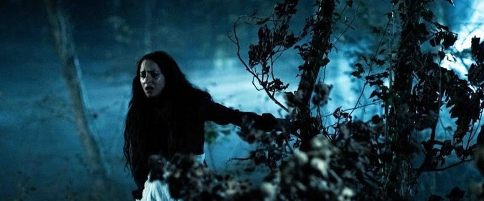 Vindicta's banner image