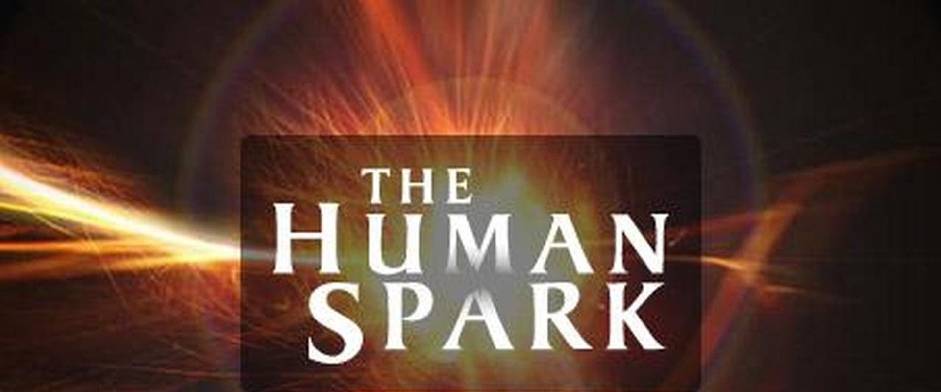 The Human Spark's banner image