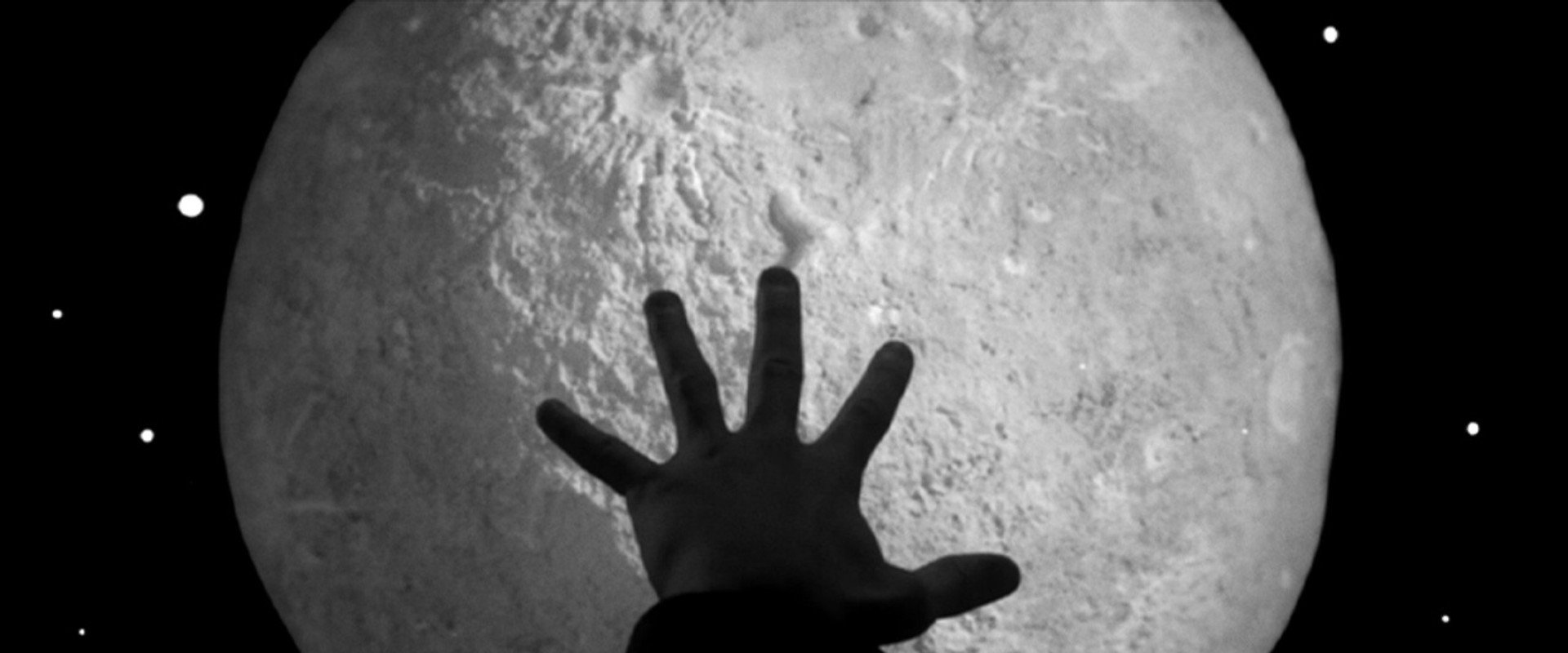 Captain Bartleby Loves the Moon's banner image