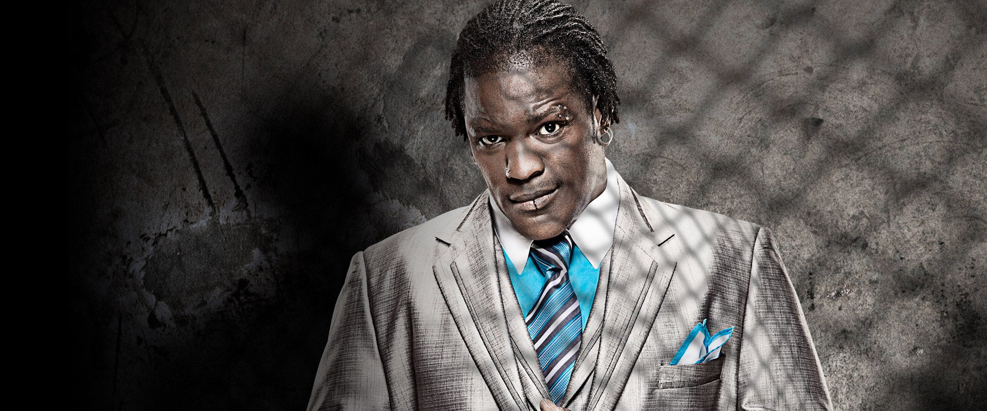 WWE Hell in a Cell 2013's banner image