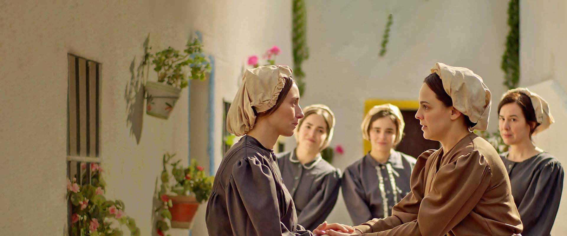 Petra de San José's banner image