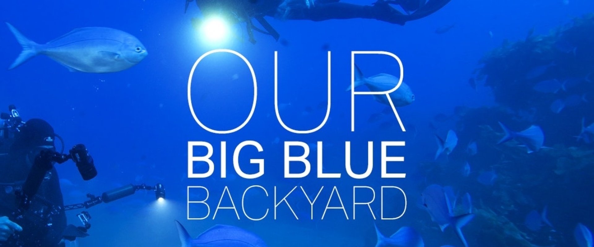 Our Big Blue Backyard