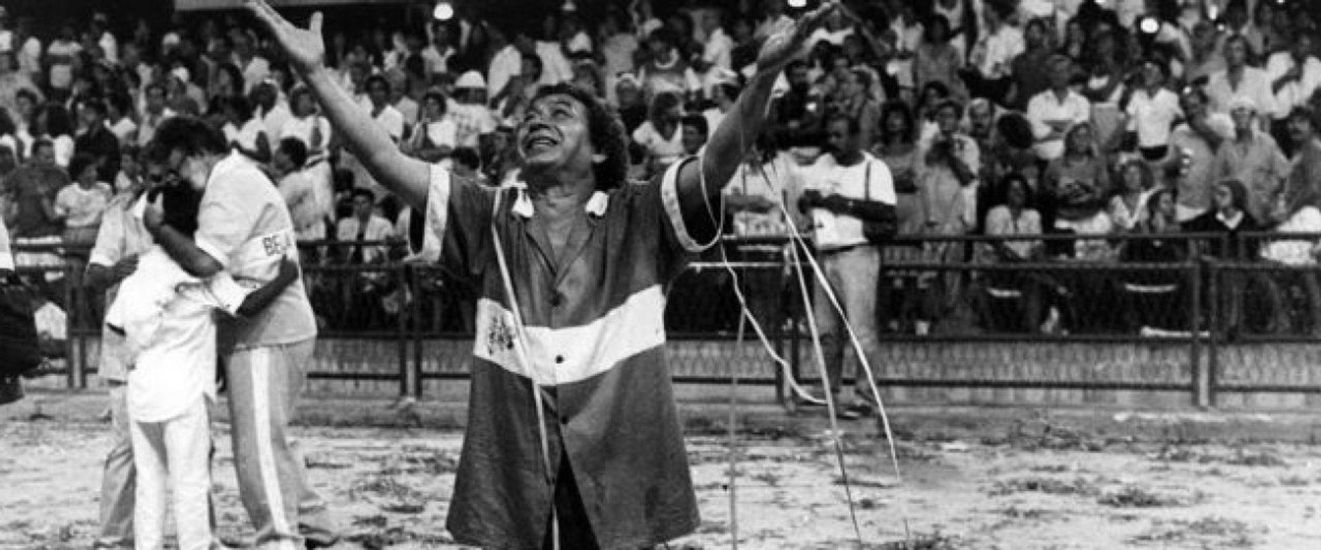 A Raça Síntese de Joãosinho Trinta's banner image