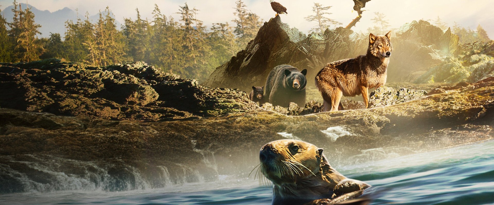 Island of the Sea Wolves