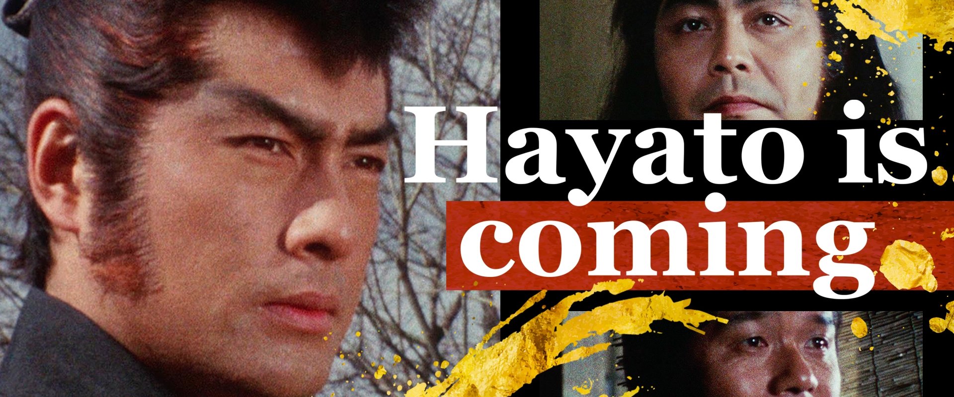 Hayato is Coming