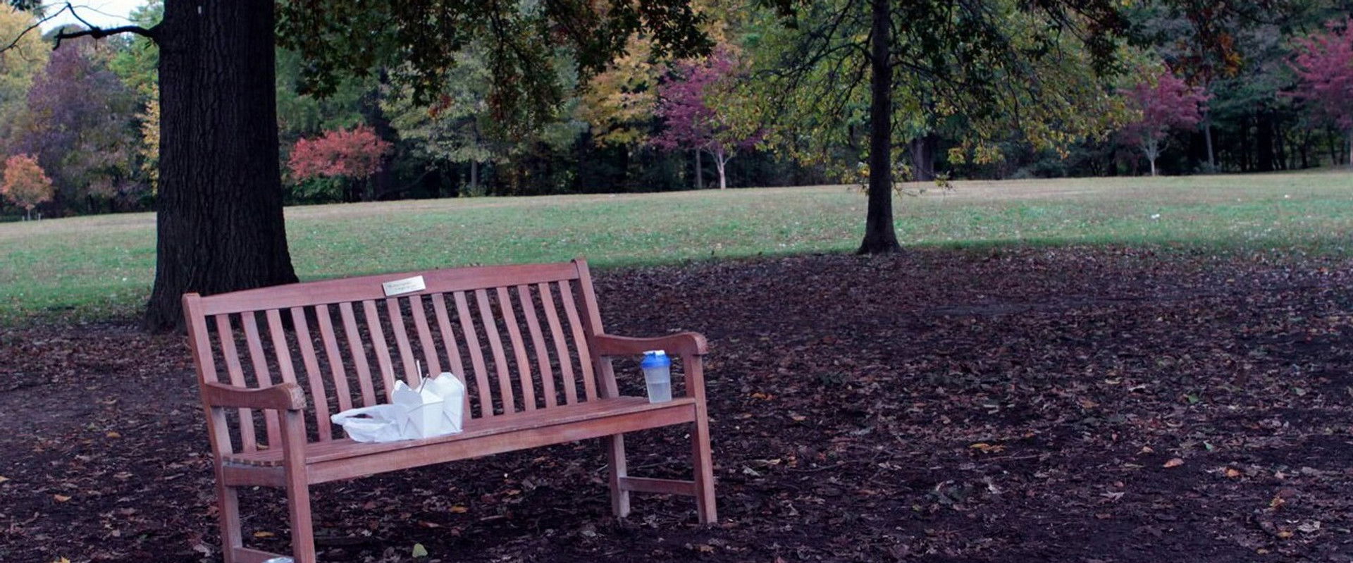 Sparring Partner's banner image