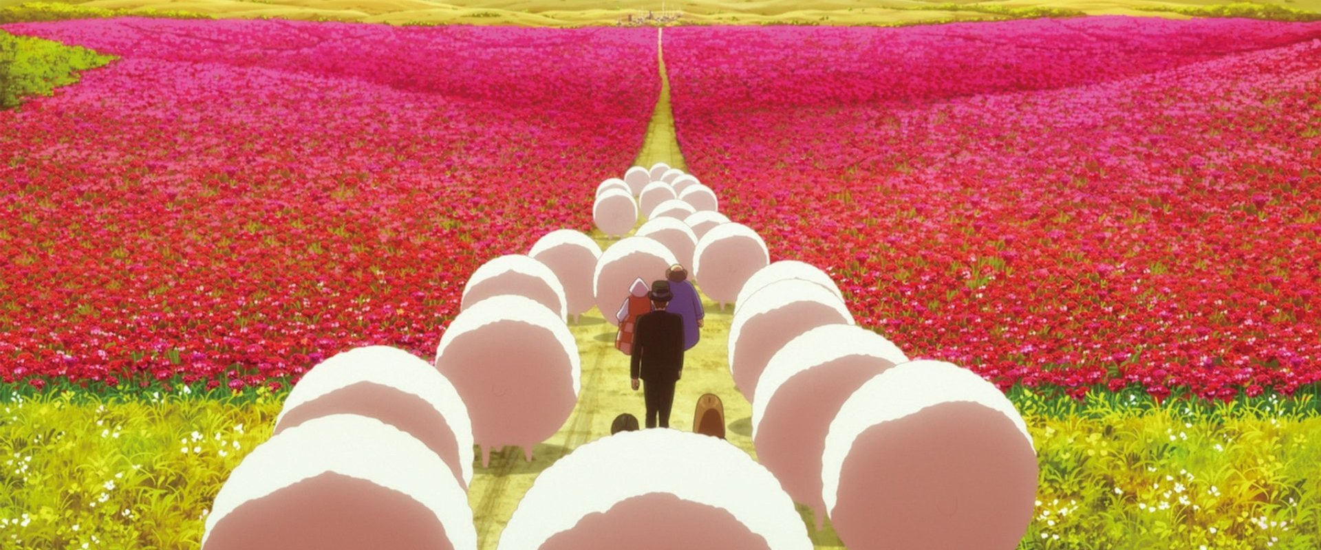 The Wonderland