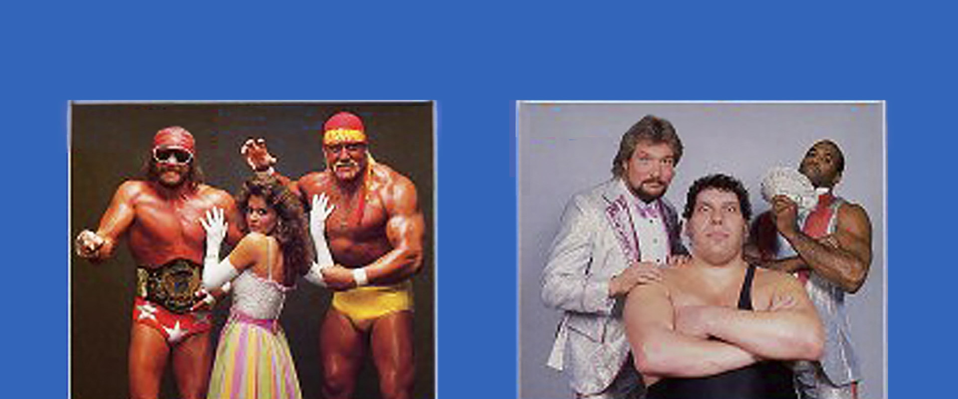 WWE SummerSlam 1988's banner image