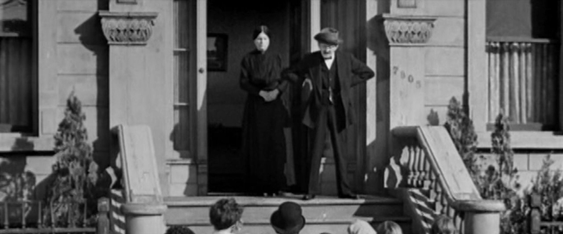 Shrimps for a Day's banner image