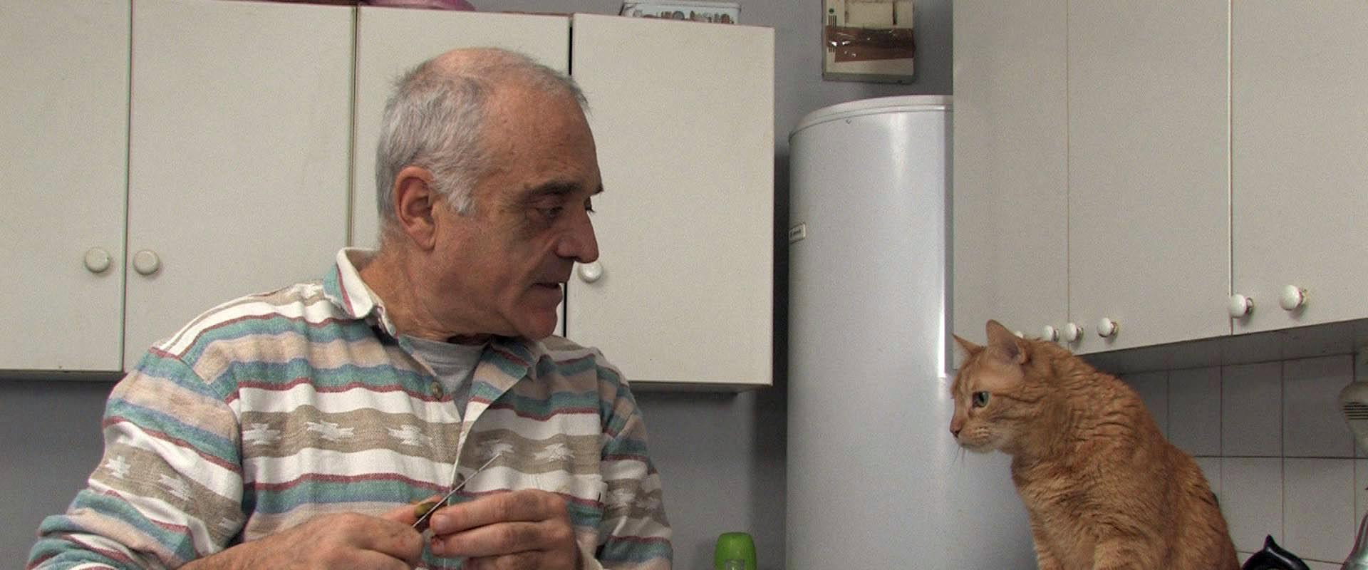 Zeus le chat's banner image