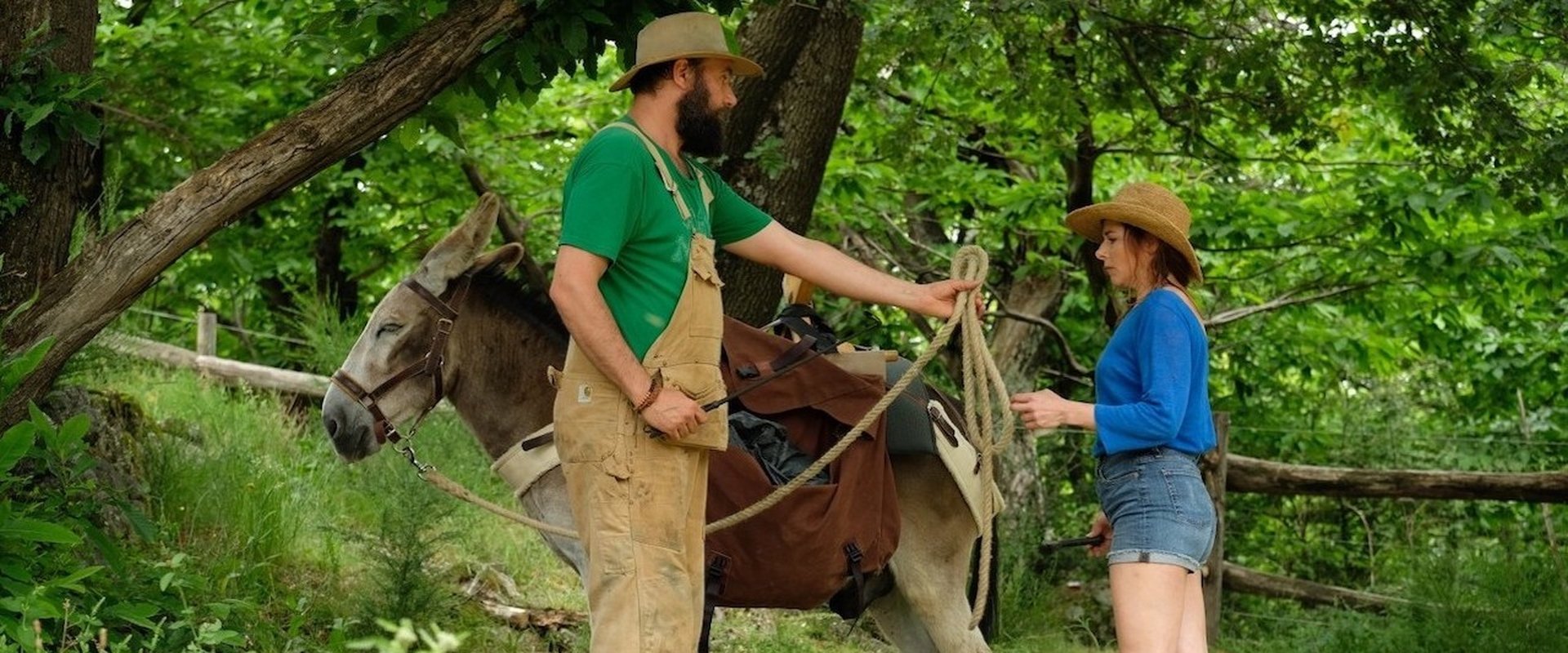 My Donkey, My Lover & I