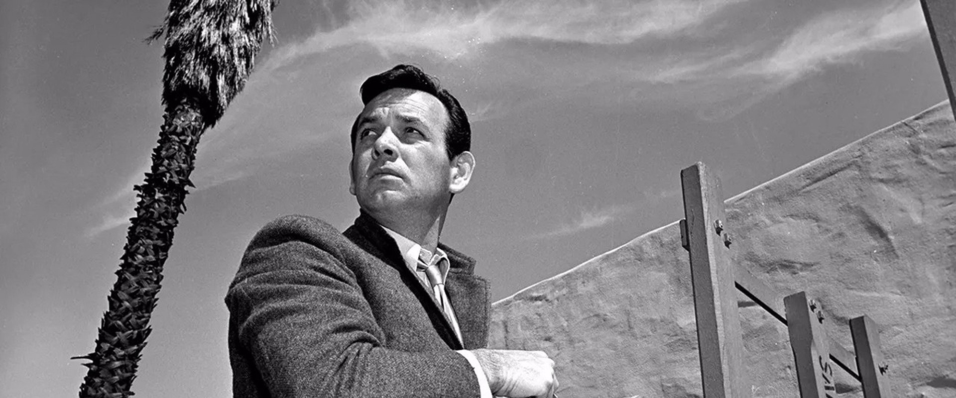 The Fugitive