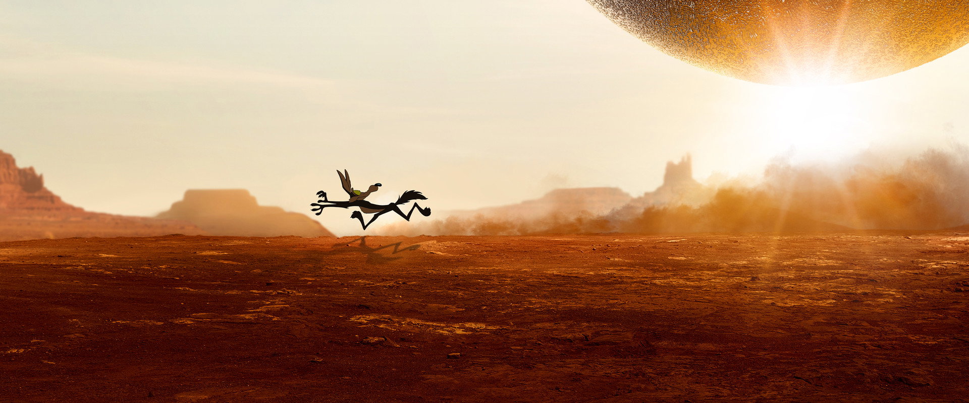 Coyote vs. Acme's banner image