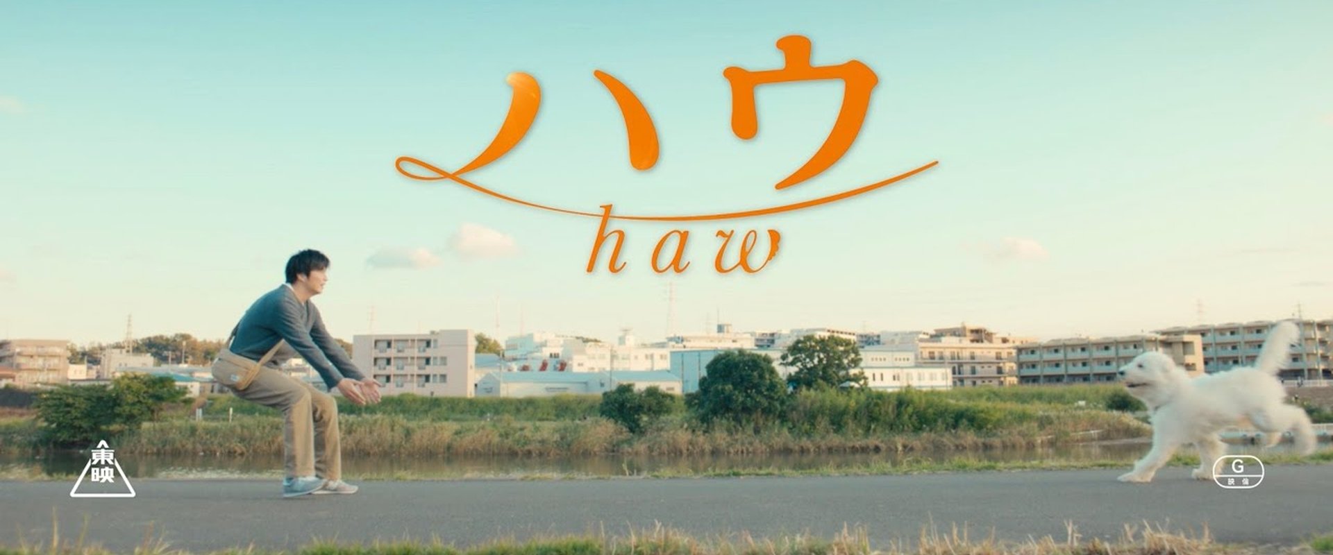 Haw