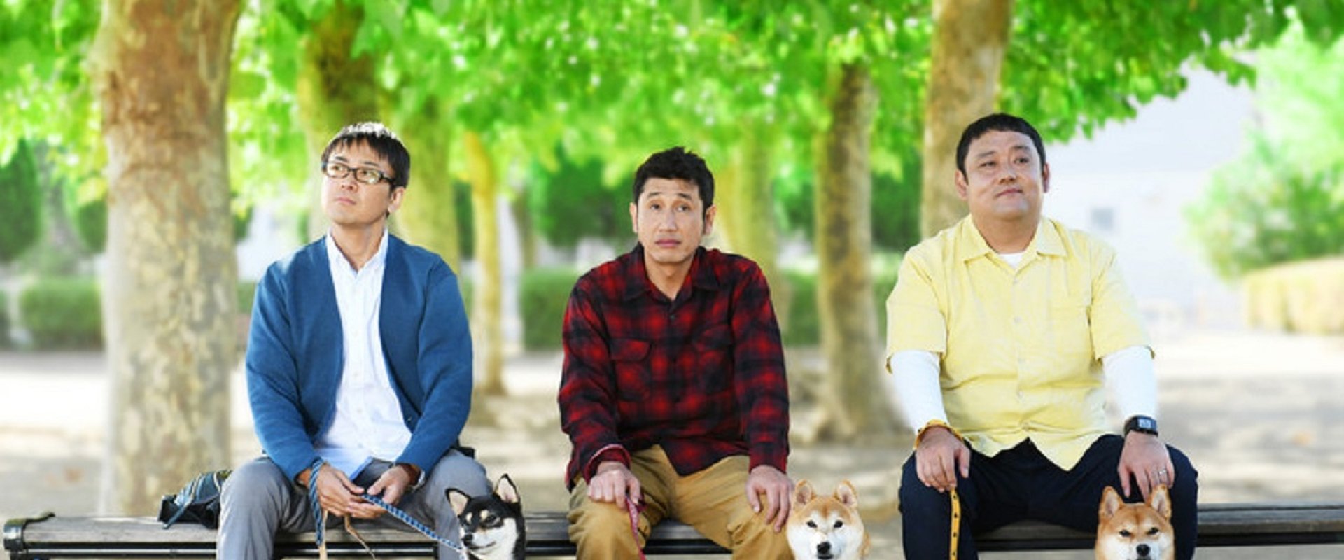 柴公園