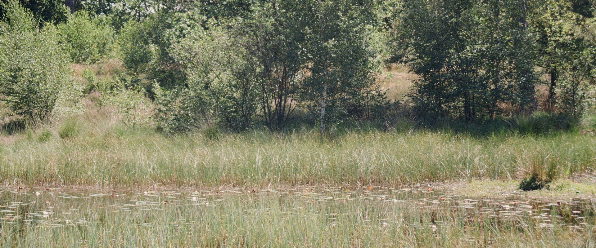 En Plein Air's banner image