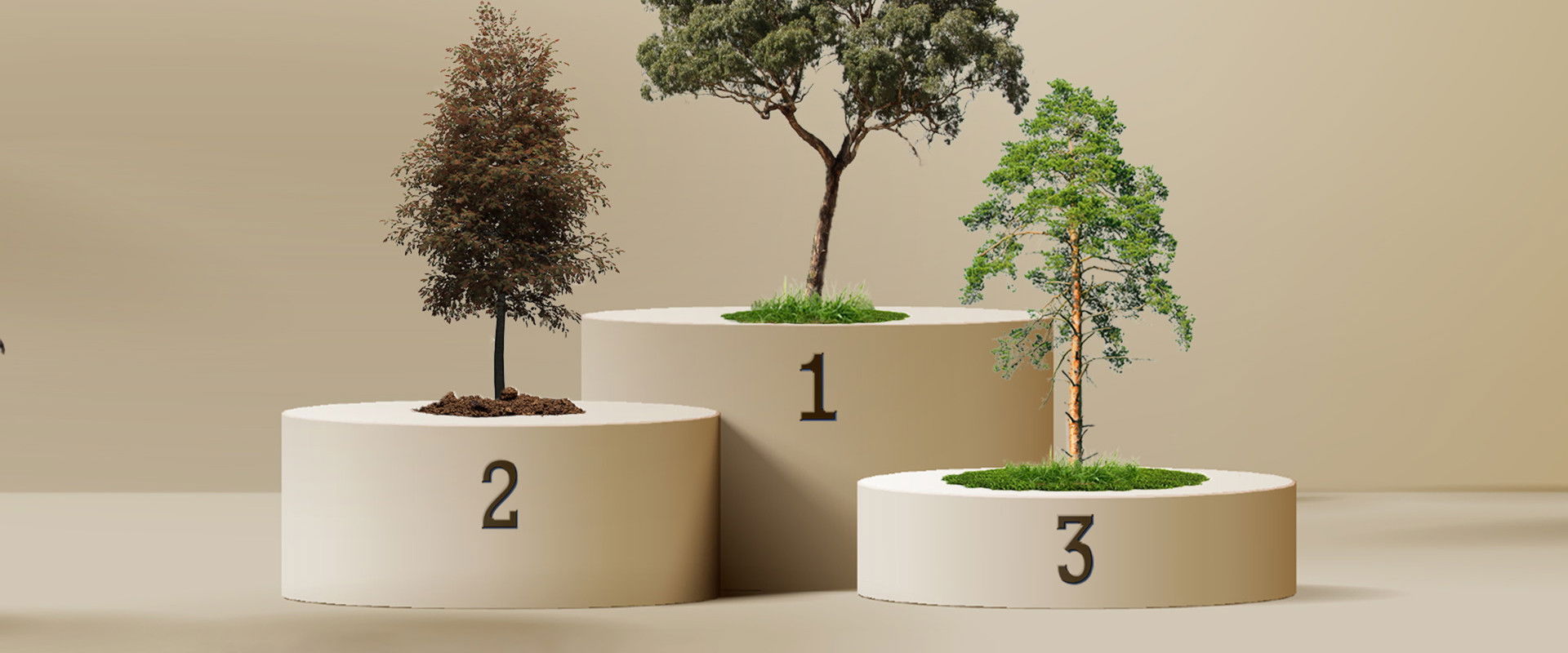 Australia's Favourite Tree