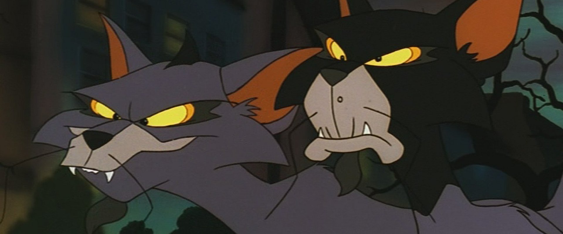 Felidae