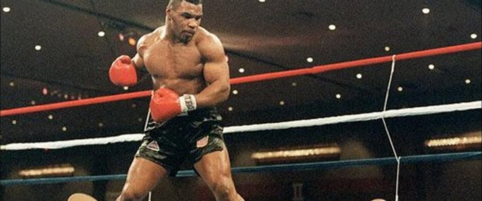 Mike Tyson - Heavyweight Fights