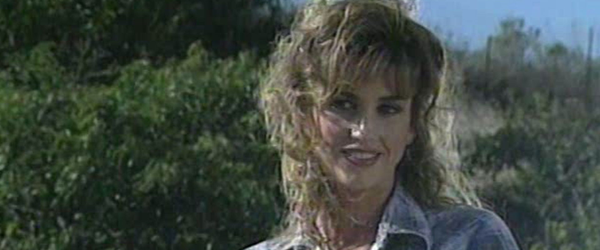 Geranalmo's banner image