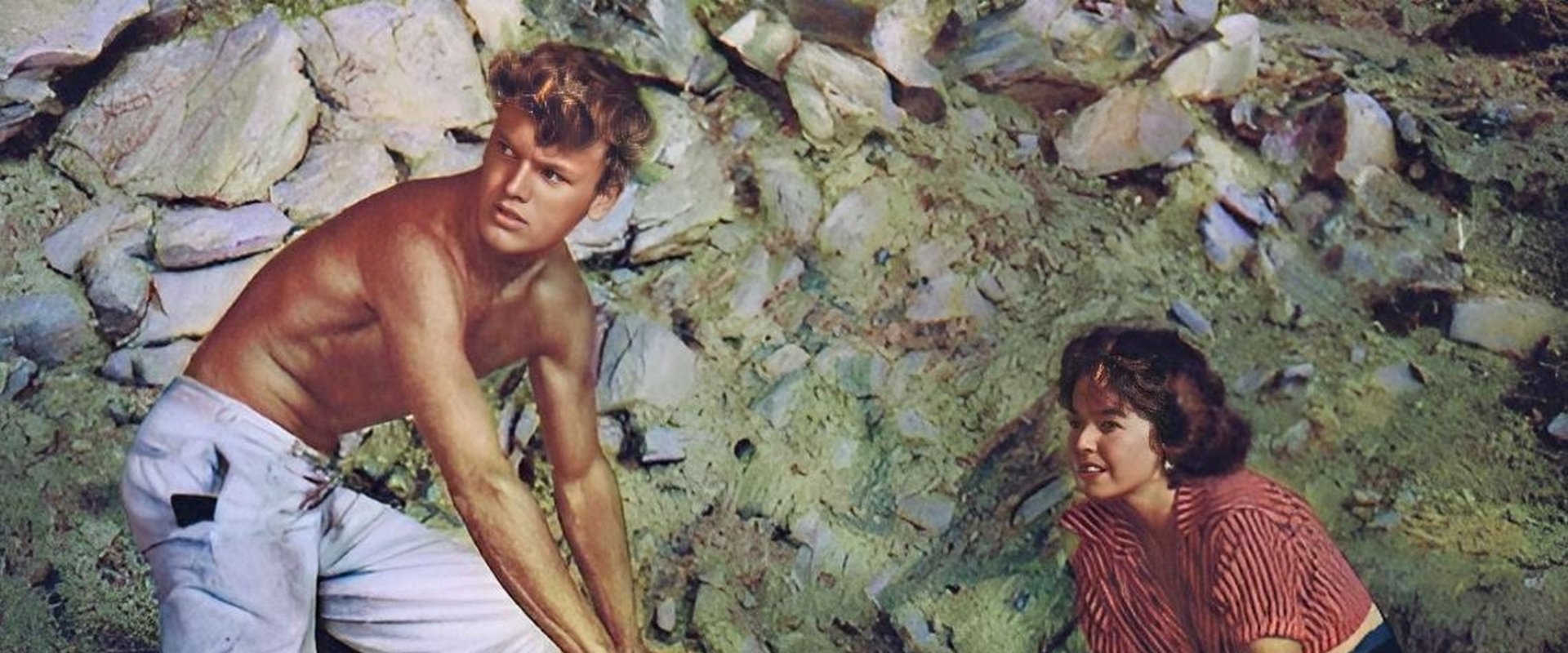 Return to Treasure Island