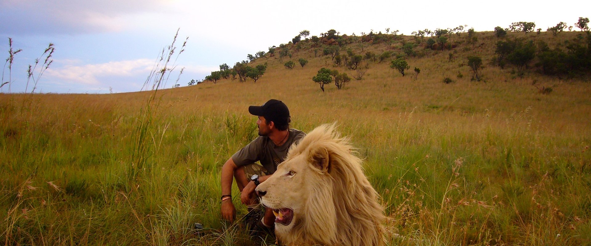 African Safari 3D