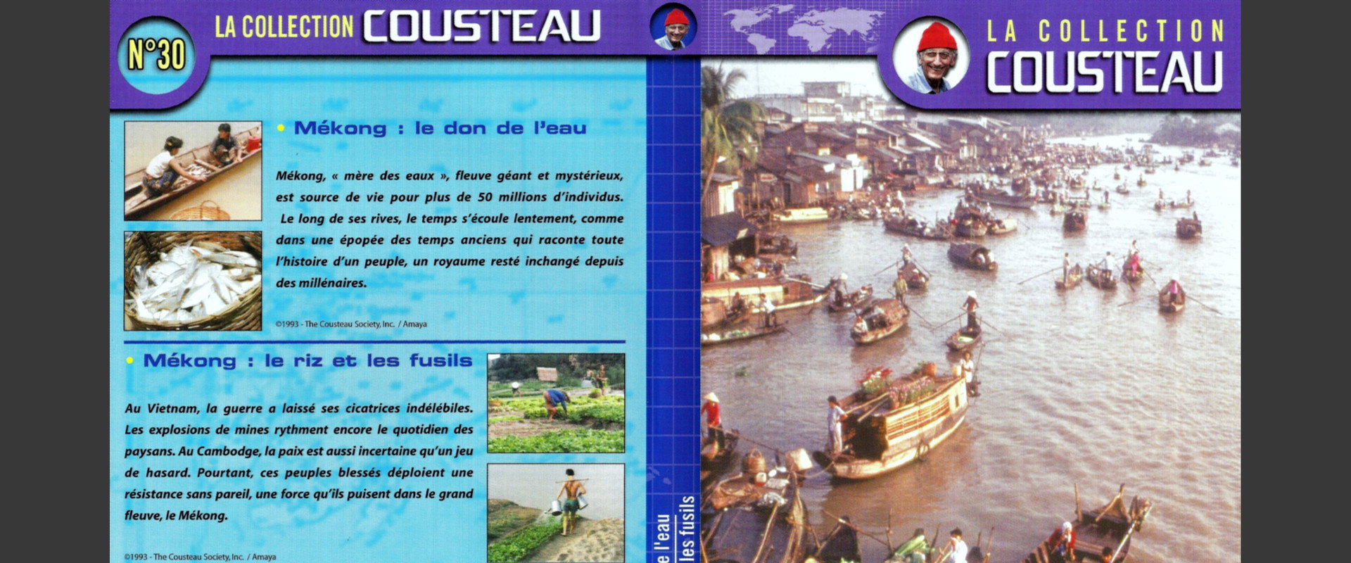 The Cousteau Collection N°37-1 | Warm Blood in the Sea's banner image