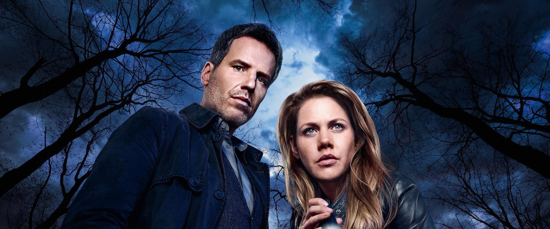 Im Wald's banner image