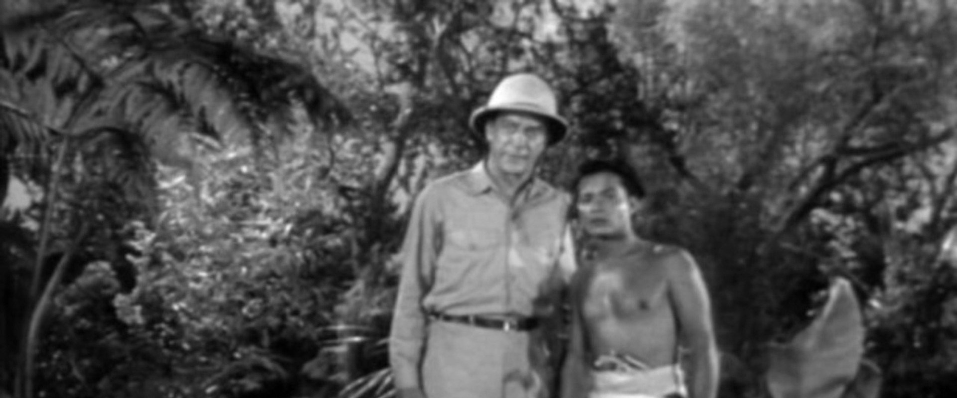 Jungle Hell's banner image
