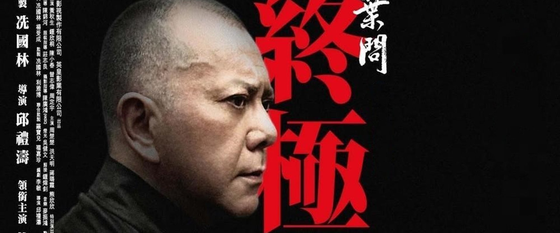 Ip Man: The Final Fight (2013)
