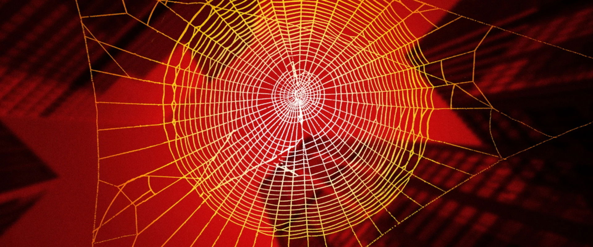 Icons Unearthed: Spider Man's banner image