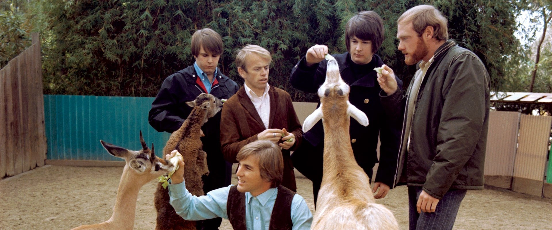 The Beach Boys: Making Pet Sounds