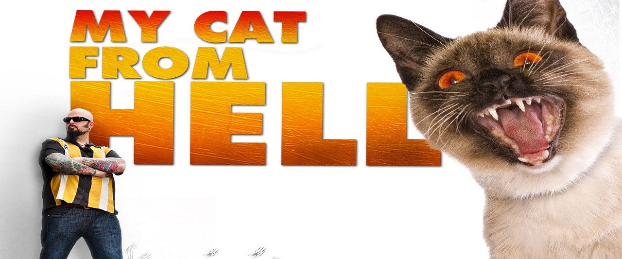 My Cat from Hell