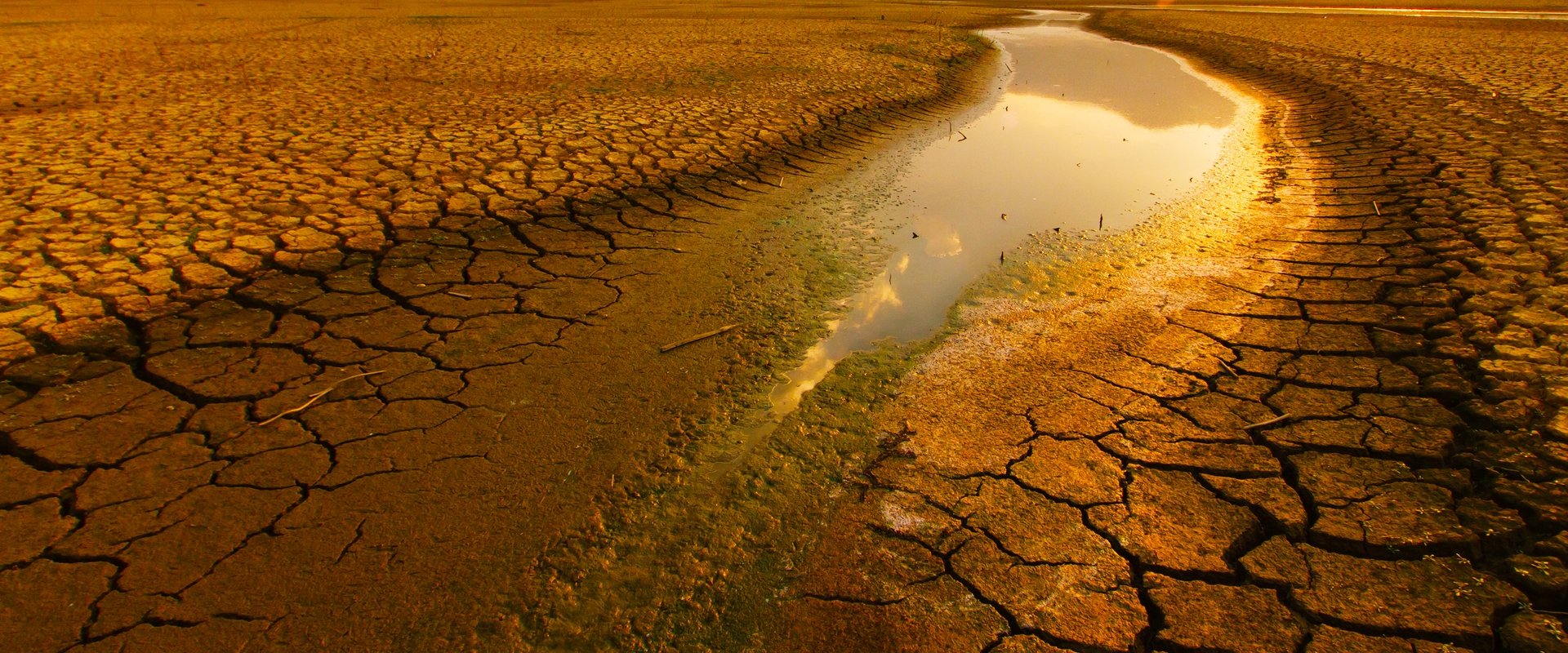Parched