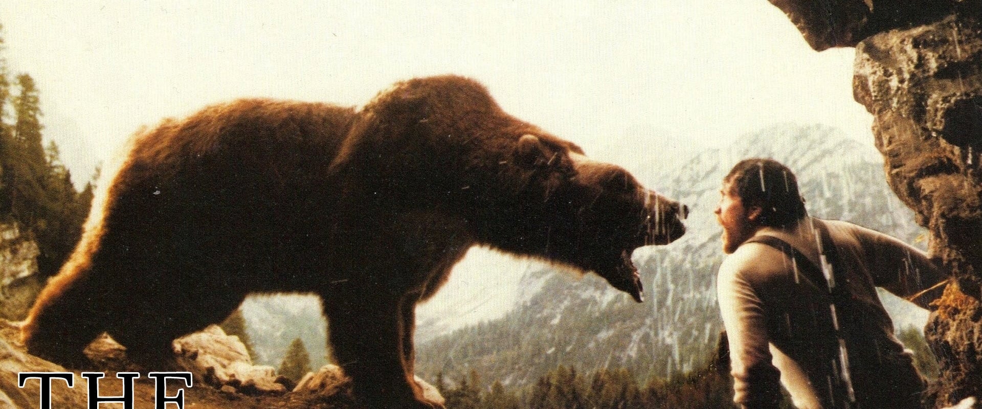 El oso