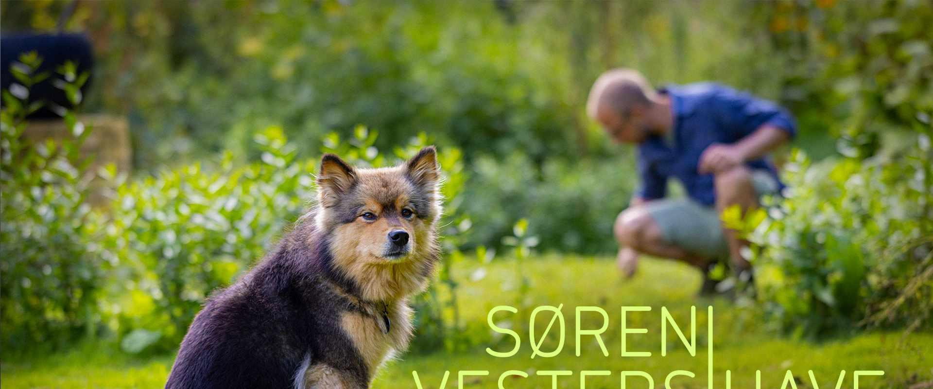 Søren Vesters have