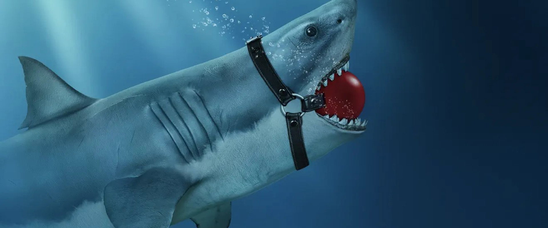 Shark Lords's banner image