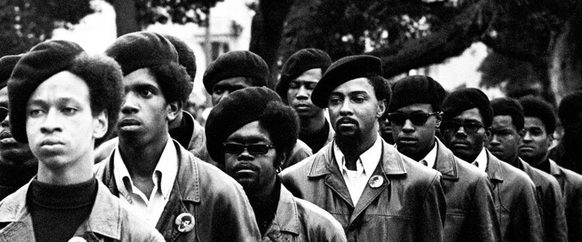 Black Panthers