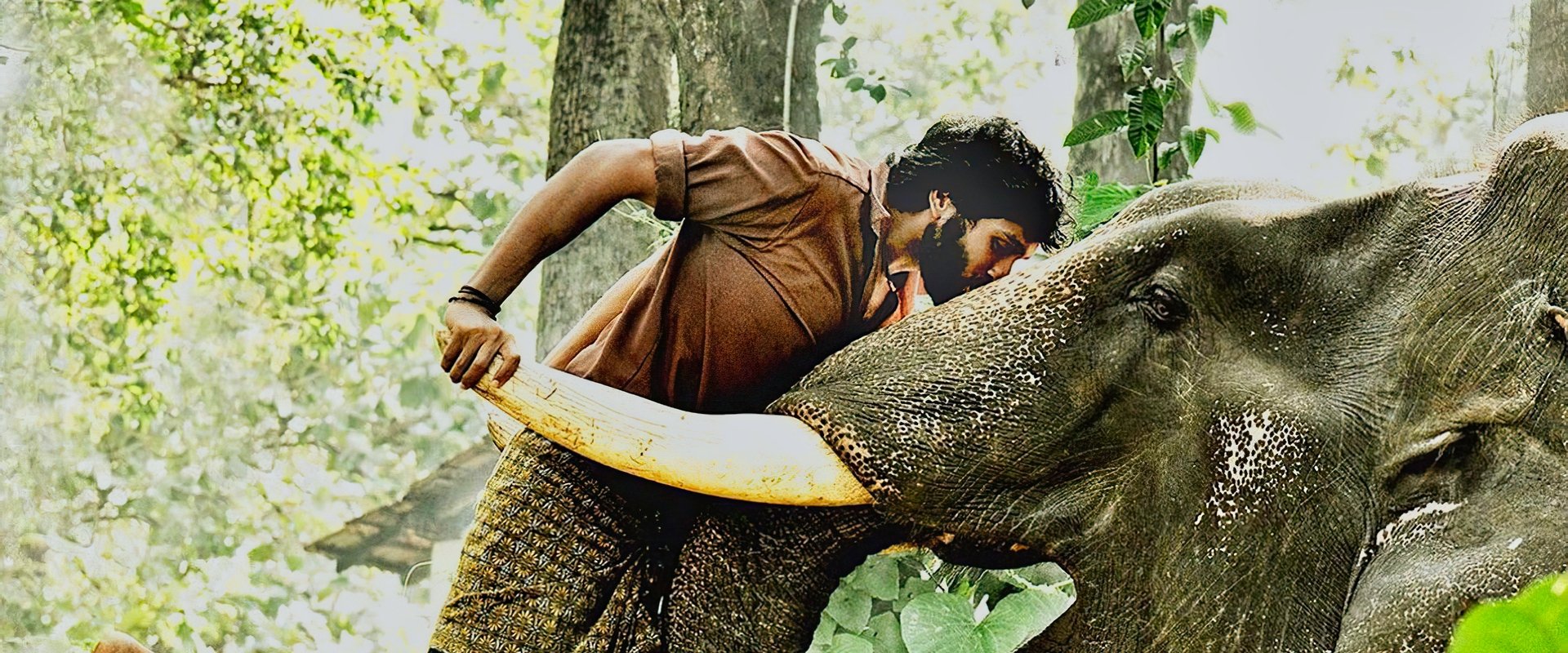 Kumki