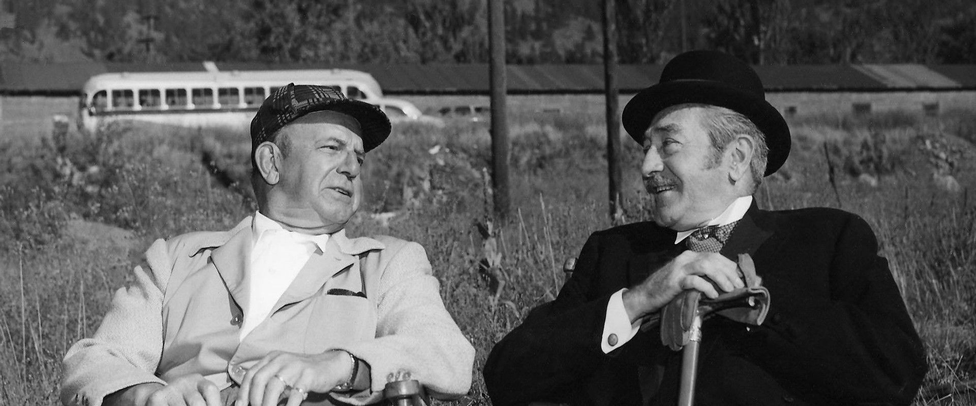 Timberjack (Movie, 1955)