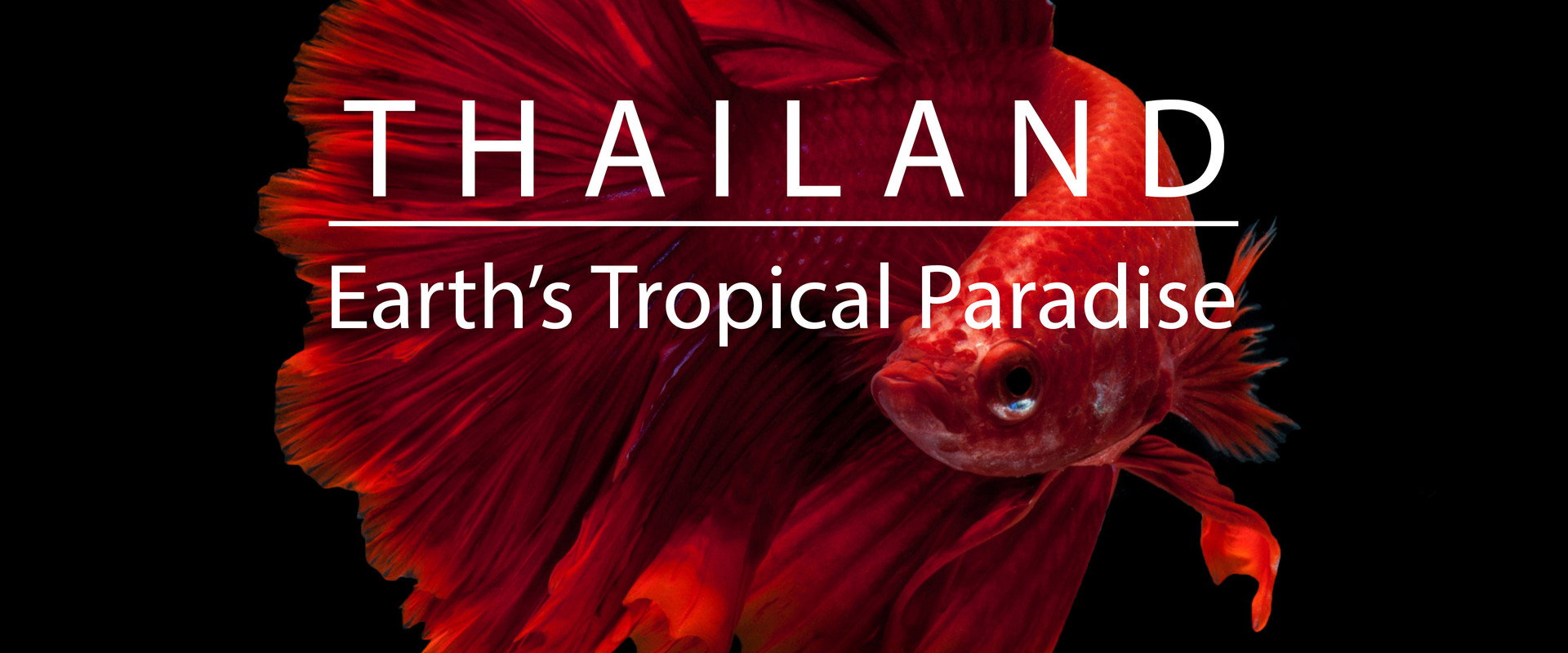泰国：地球上的赤道天堂