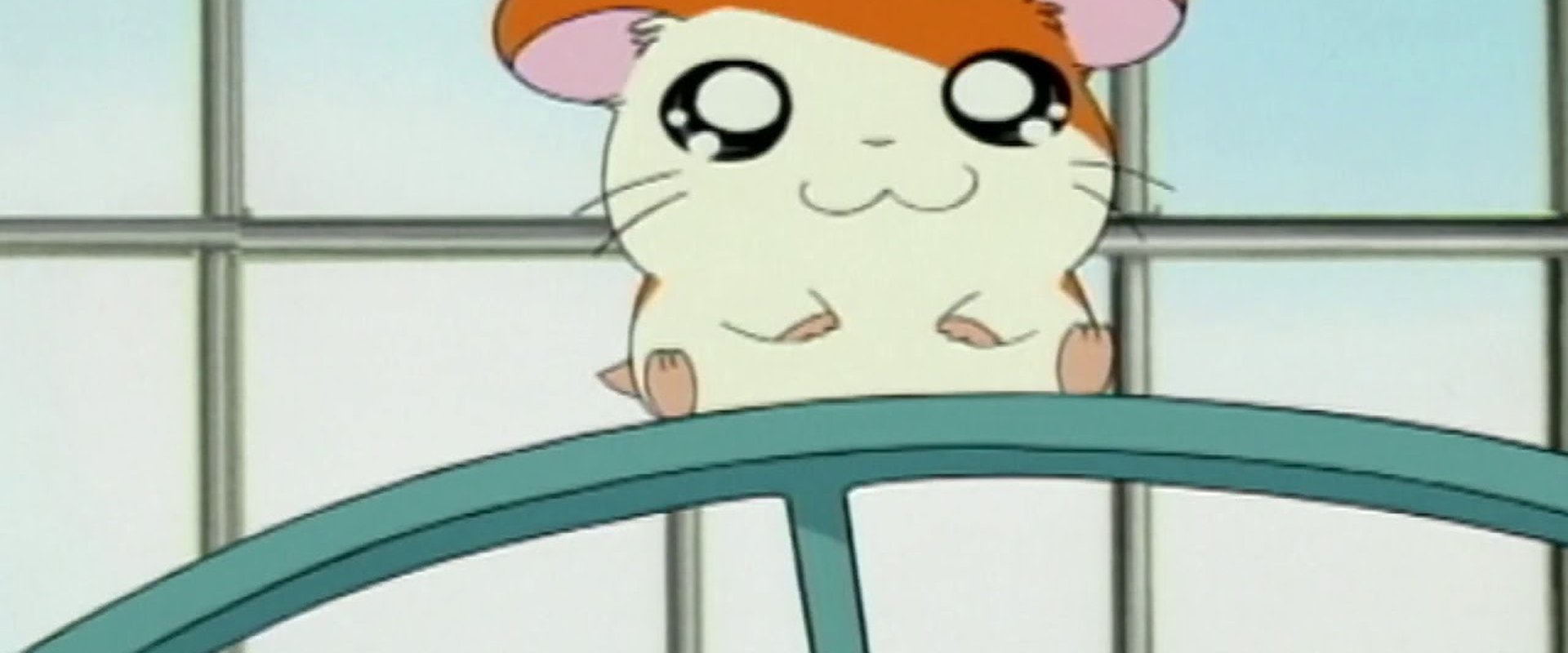 Hamtaro