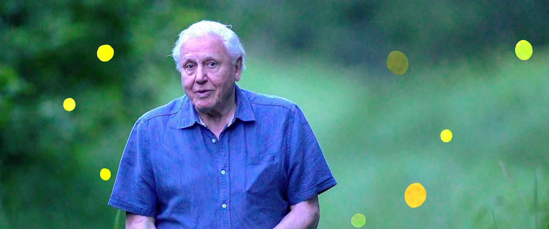 Attenborough's Life That Glows
