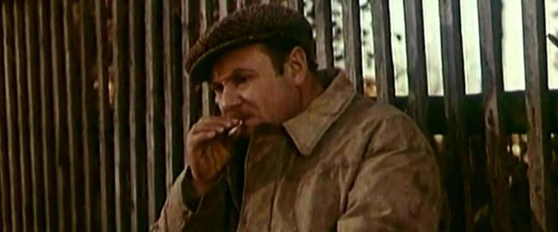 Afrikanych's banner image