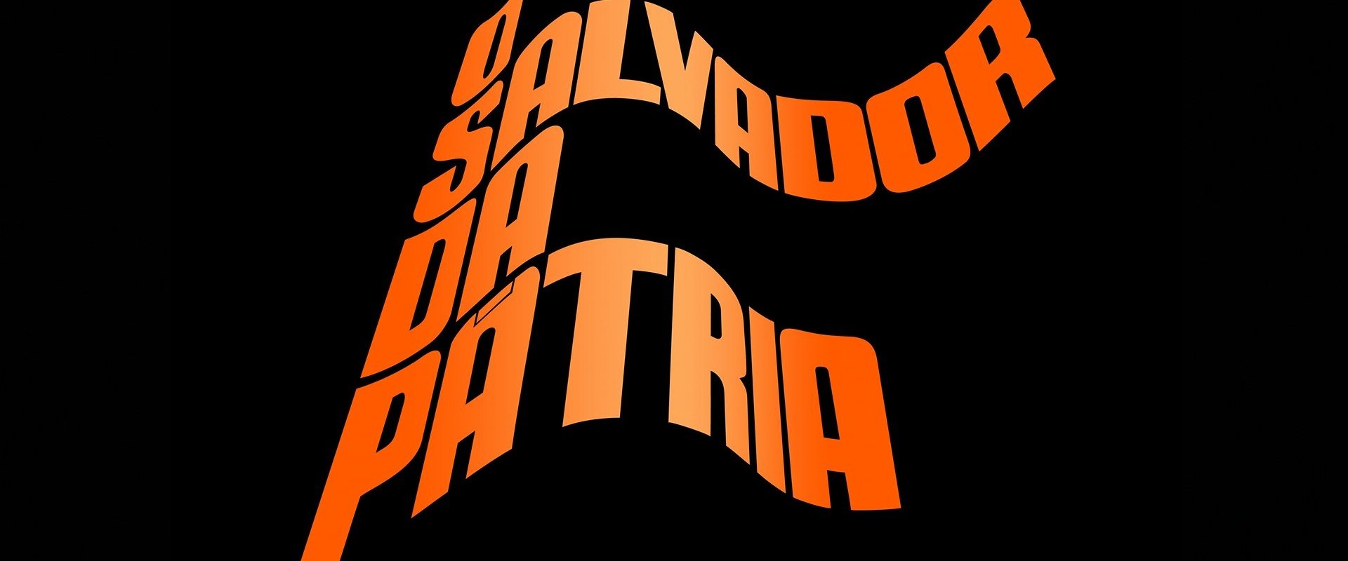 O Salvador da Pátria