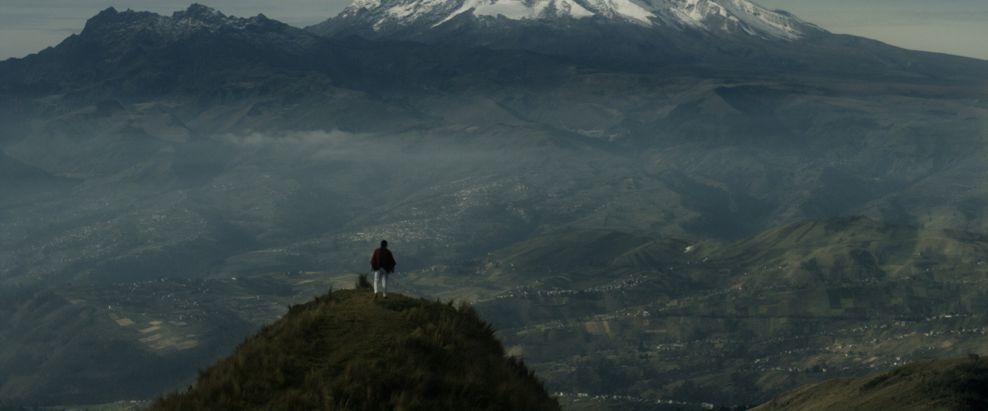 Sapikuna's banner image